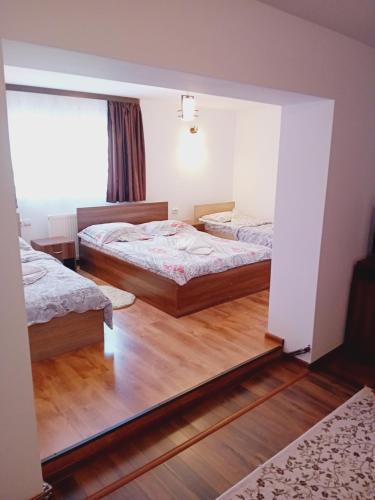 1 dormitorio con 2 camas y espejo en Pensiunea Dimitrie en Mănăstirea Humorului