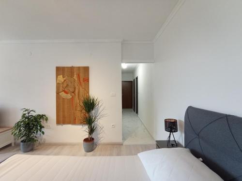 Studio Apartment Blue Pine