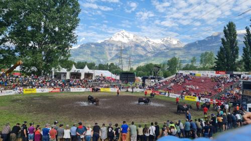 a crowd of people watching a horse show at a rodeo at Studio Le Carnotzet Tchiko minimum 2 nights Special weekly and monthly prices in Savièse