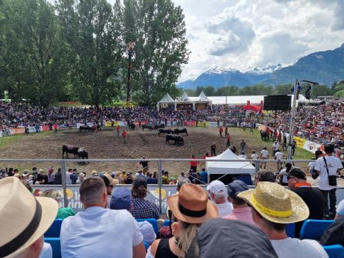a large crowd of people watching a rodeo at Studio Le Carnotzet Tchiko minimum 2 nights Special weekly and monthly prices in Savièse
