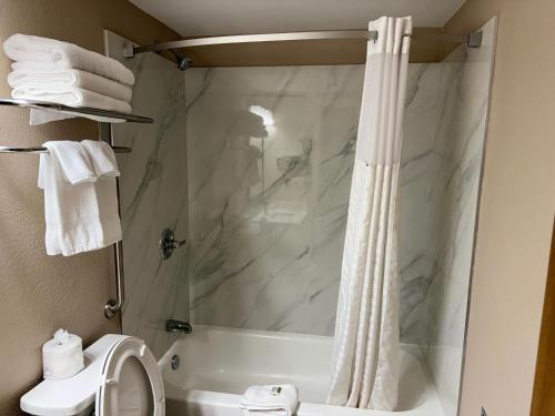 a bathroom with a shower and a toilet and a sink at Super 8 by Wyndham Mount Vernon, IL in Mount Vernon