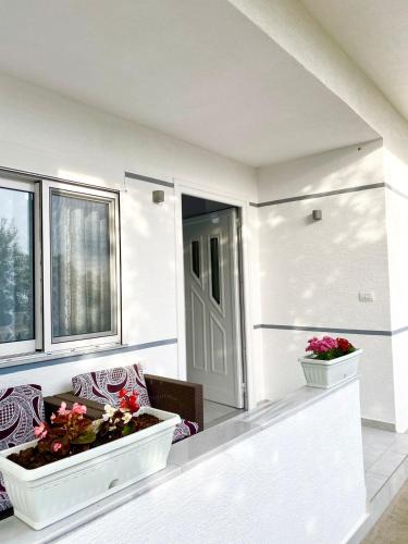 pokój z dwoma wazonami z kwiatami na ganku w obiekcie Krisa's Apartament w Sarandzie