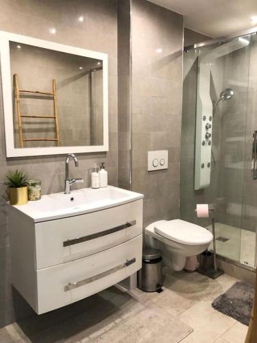 une salle de bain avec un lavabo, des toilettes et une douche dans l'établissement JO 2024 - Maison d'architecte avec jardin, à Villeneuve-la-Garenne