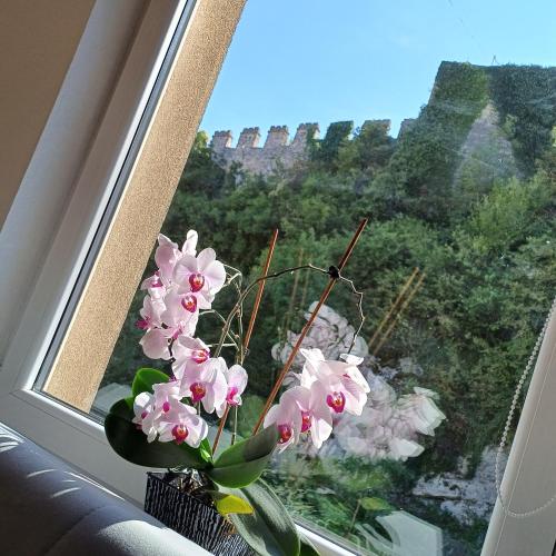 a vase with pink flowers in a window with a view at Rose Apartment in Jajce