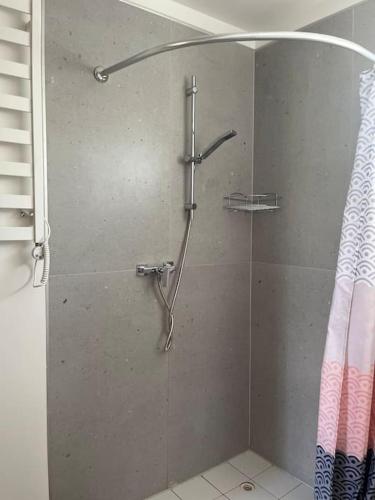 a shower with a glass door in a bathroom at Perfectly located summerhouse in Druskininkai
