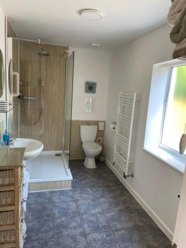 a bathroom with a toilet and a shower and a sink at Leylands Annexe in East Harptree