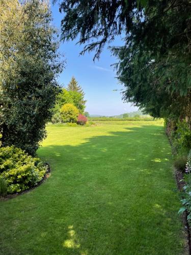 a large yard with green grass and trees at Leylands Annexe in East Harptree
