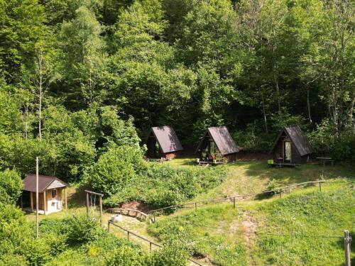 un groupe de cottages au milieu d'une forêt dans l'établissement Holiday bungalows Pajkovir, à Kolašin