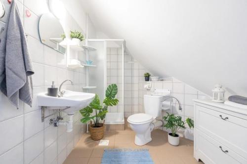 łazienka z toaletą i umywalką z roślinami w obiekcie Pokoje Gościnne POD KNOTEM w mieście Karwieńskie Błoto Drugie