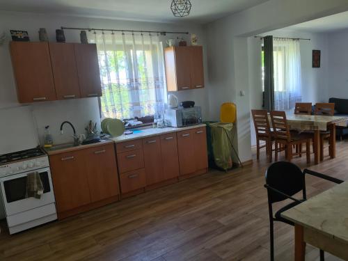 Kuchyň nebo kuchyňský kout v ubytování Chata u Żaby