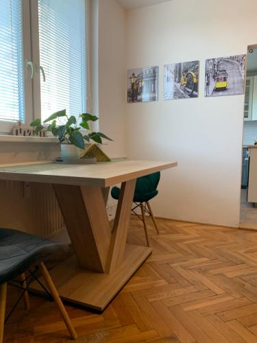 a table with a potted plant on it in a room at Victory apartmán in Šamorín