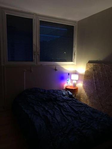 a bedroom with a bed and a lamp and two windows at Beau T2 rénové in Cluses