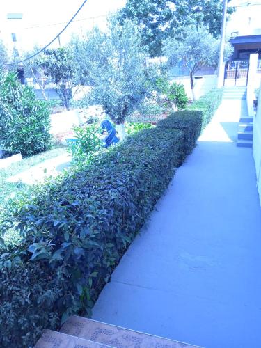 Κήπος έξω από το Vila F&M ksamil