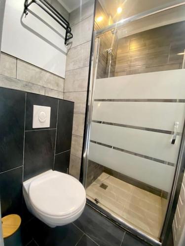 une salle de bain avec toilettes et douche dans l'établissement Superbe *Port Fréjus*Piscine*Lumineux* 5 personnes, à Fréjus