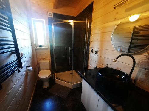 a bathroom with a shower and a sink and a toilet at Domek przy lesie na Roztoczu in AdamÃ³w