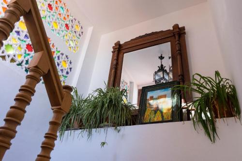 a mirror on top of a shelf with plants at Oripando Private Rooms in Granada