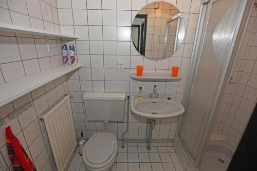 a small bathroom with a toilet and a sink at Bungalow het Zuiderveld in Geesbrug