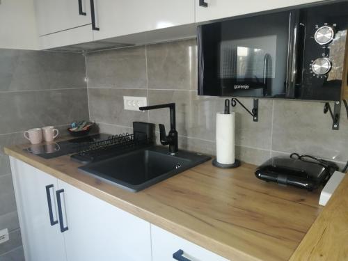 eine Küchentheke mit einer Spüle und einer Mikrowelle in der Unterkunft Orca Apartman in Jagodina