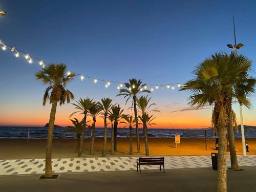 Sunny Place 5