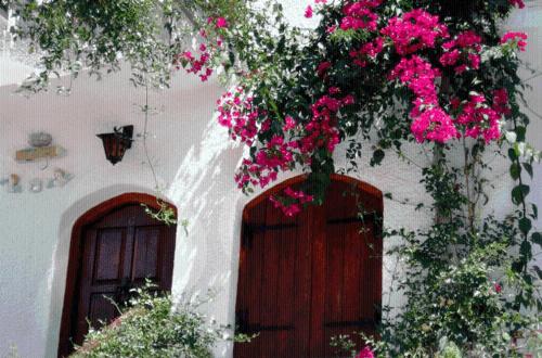 Afbeelding uit fotogalerij van Villa Mikra Asia in Poros