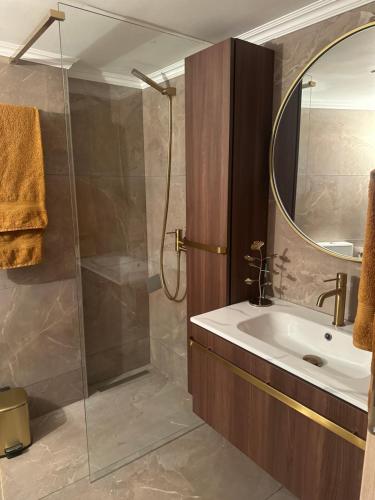 パレオ・ティフリキにあるOlivia -Ελιάのシャワー、洗面台、鏡を備えたバスルーム
