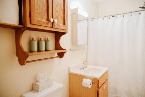 a bathroom with a sink and a toilet and a shower at NEW! Townhouse - Tenney Mountain Resort in Plymouth