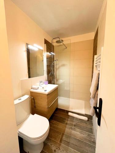 une salle de bain avec toilettes, lavabo et miroir dans l'établissement Le nid douillet de Jade, à La Londe-les-Maures