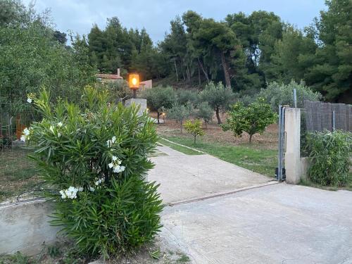 Κήπος έξω από το Askalosia villa