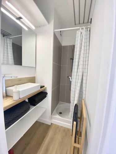 une salle de bain avec un lavabo et une douche dans l'établissement Superbe rooftop vue mer Port Santa Lucia 5 pers, à Saint-Raphaël