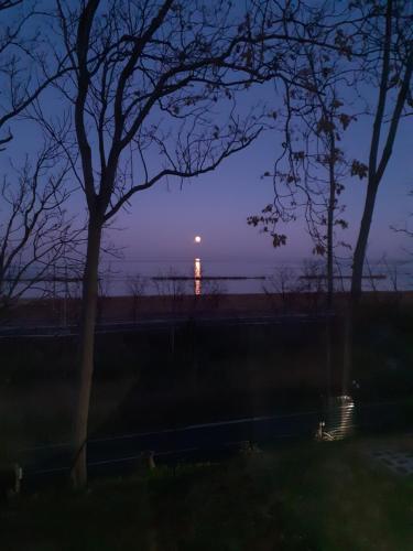 a view of the moon from a field at night at Residence LE DUNE in Ortona