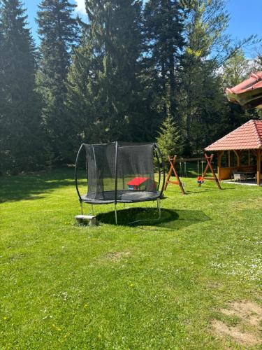 una sedia appoggiata sull'erba in un cortile di Tara Cottage a Bajina Bašta