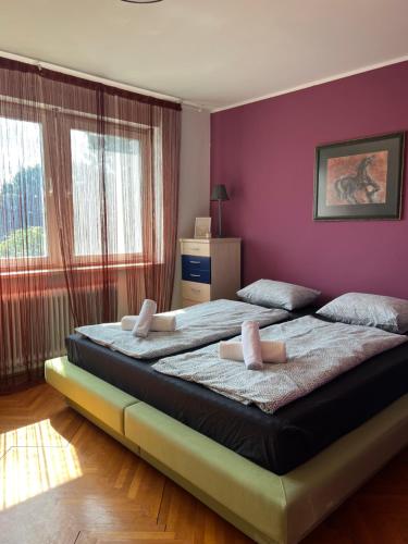 two beds in a bedroom with a purple wall at Apartment Ljubljana - Free parking in Ljubljana