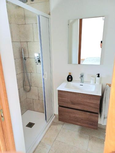 a bathroom with a shower and a sink at Casa Daniel in Selva di Fasano