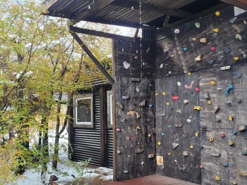 a retaining wall with a climbing wall at Endemiko in Malalcahuello