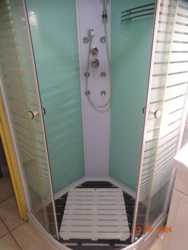 a bathroom with a shower with a glass door at Maison charmante à Gros-Morne avec terrasse et jardin in Gros-Morne