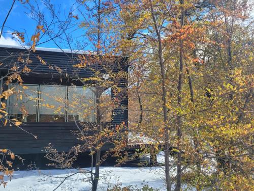 a house in the snow with trees in front of it at Endemiko in Malalcahuello
