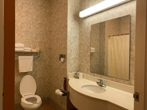 a bathroom with a sink and a toilet and a mirror at Budget Host Inn in Allegan