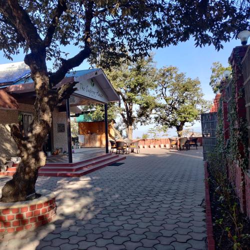 a tree on a sidewalk next to a building at The Oaktree House in Shimla