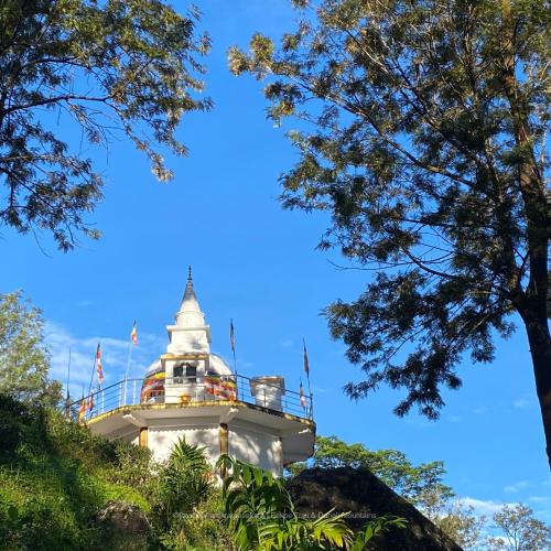 a lighthouse on top of a hill with trees at Dunali Mountains - Galaha in Galaha Town