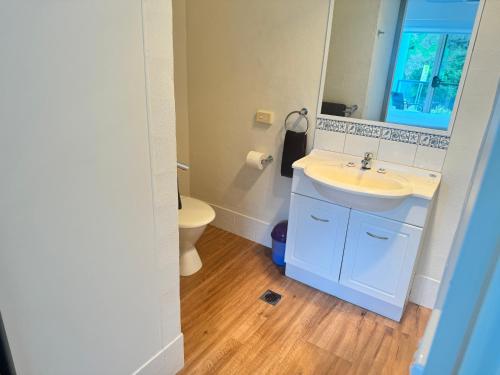 a bathroom with a sink and a toilet and a mirror at BlueWater Apartments in Merimbula
