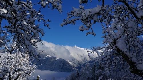 a view of a snow covered mountain in the distance at Appartements Alpenblick in Finkenberg