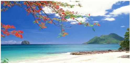 ภูมิทัศน์ธรรมชาติใกล้บ้านพักตากอากาศ