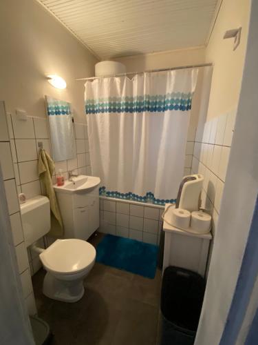 een kleine badkamer met toilet en wastafel bij Berzsenyi Ház in Balatonfenyves
