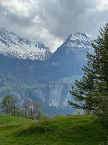 a green field with snow capped mountains in the background at 3-Bedrooms Apartment in a Chalet in Meiringen