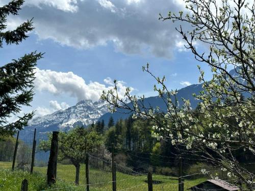 a fence in a field with a mountain in the background at 3-Bedrooms Apartment in a Chalet in Meiringen