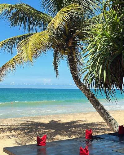 a palm tree and red origami boxes on a beach at Beach Club Apartments in Induruwa