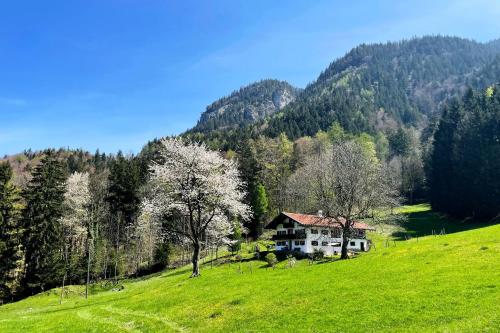 una casa en una colina en un campo con árboles en BergZeit en Aschau im Chiemgau