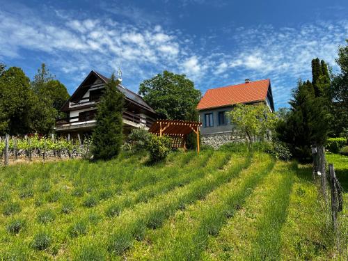 a house on a hill with a green field at Levendulás in Szigliget