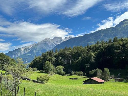 a green field with a barn in the middle of a mountain at 5 Bedrooms Chalet Brünig in Meiringen