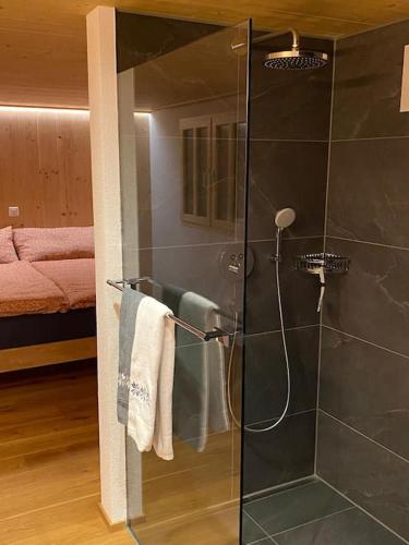 a bathroom with a shower with a glass door at 5 Bedrooms Chalet Brünig in Meiringen